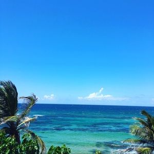 Meet your Posher, Khrystie